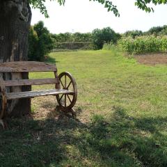 Appartement Mit Balkon