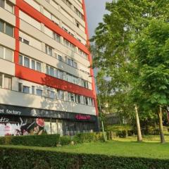 Koševo stadium view
