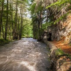 Ferienhaus Mit Vielen Freizeitmöglichkeiten