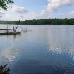 Spacious Lakeside Hideaway APT