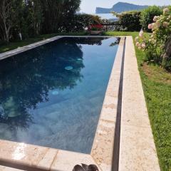 Jane's Dream Apartment