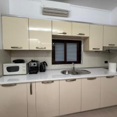 Ani Apartment with Fireplace