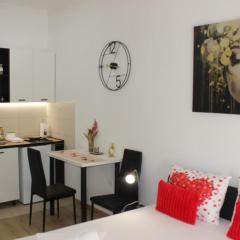 Central cozy cute studio