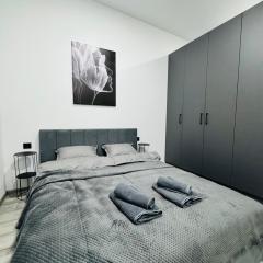 Studio Apartment центр міста Чернівці