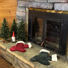 Cabin 9- Spacious cabin- 4 King beds- 2 baths