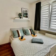 Black Lotus 2 I Downtown Apartment I Free Parking & Fresh Coffee I 24hr Access