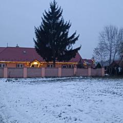 Dovolenkový dom na juhu Slovenska