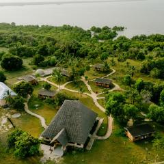 Signature Collections by Eight Continents