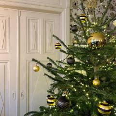 Boutique Hotel Des XV