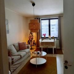 Kemi city center 2 room and kitchen FREE PRIVATE PARKING