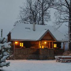 Cozy wooden house Robinia