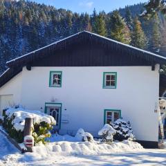 Haus am Seebach Leutasch Weidach