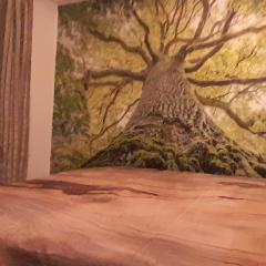 Dixi Studio Apartment