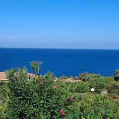 Viletta Vista Paradiso