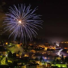 Nature Bio Hotel Elite