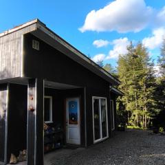 Casa Selva Valdiviana