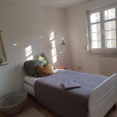 Natur Perle Tübingen