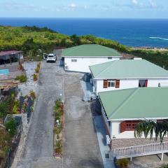 Gîte Soleil Canne ZOLIVE