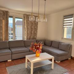 L'Appart Grenoblois ville et nature