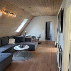 Penthouse apartment in Esbjerg city