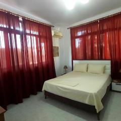 Central Apartments Shoshi