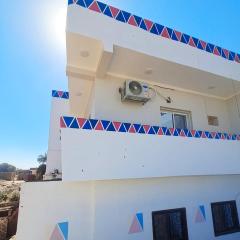 nubian yellow desert