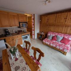 Studio 4 pers. au pied du télécabine, animaux admis, balcon - FR-1-815-106