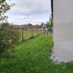 Dom w spokojnej okolicy