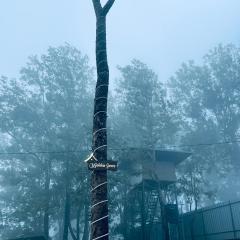 Golden Grove Treetops