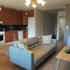 Pieksämäellä saunallinen kaksio rivitalossa