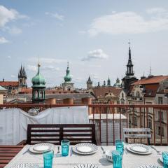 Roof View & Parking Assistance