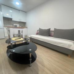 Céntrico apartamento muralla 2