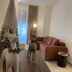 Class Elite Apartment