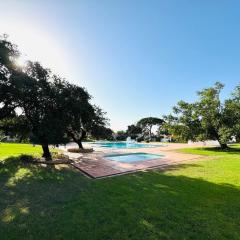 Condominio vila nova T1 Rua da Oura