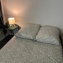 Studio - Museum of Fine Arts