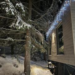 Debri family Ворохта