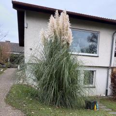 Wohnung Offenburg-Ost zentral