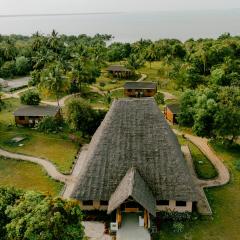 Signature Collections by Eight Continents