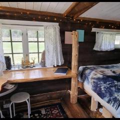 Cozy little log cabin, dog allowed, sauna