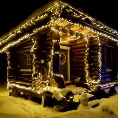 Cozy little log cabin, dog allowed, sauna