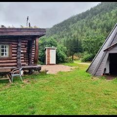 Cozy little log cabin, dog allowed, sauna