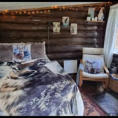 Cozy little log cabin, dog allowed, sauna