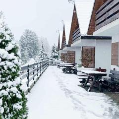 Solina domki-„Solińskie wzgórze”