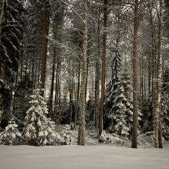 Brand new Arctic snowstar apartment