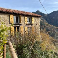 Maison Lantosque 4 personnes face montagne