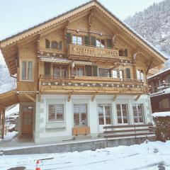 Lauterbrunnen Beautiful Staubbach apartment in a charming Chalet