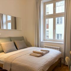 Museum Park Apartment II