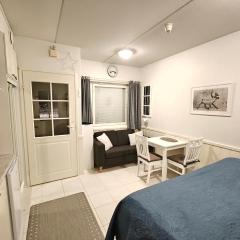 Leviloma - 21m2 B - Levi majoitus loma-asunto Levistar huoneisto - Levi accommodation Levistar apartment