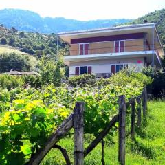 Country Home Genesi 20 min from Trikala