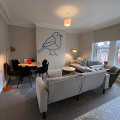 The Bluebird B&B III